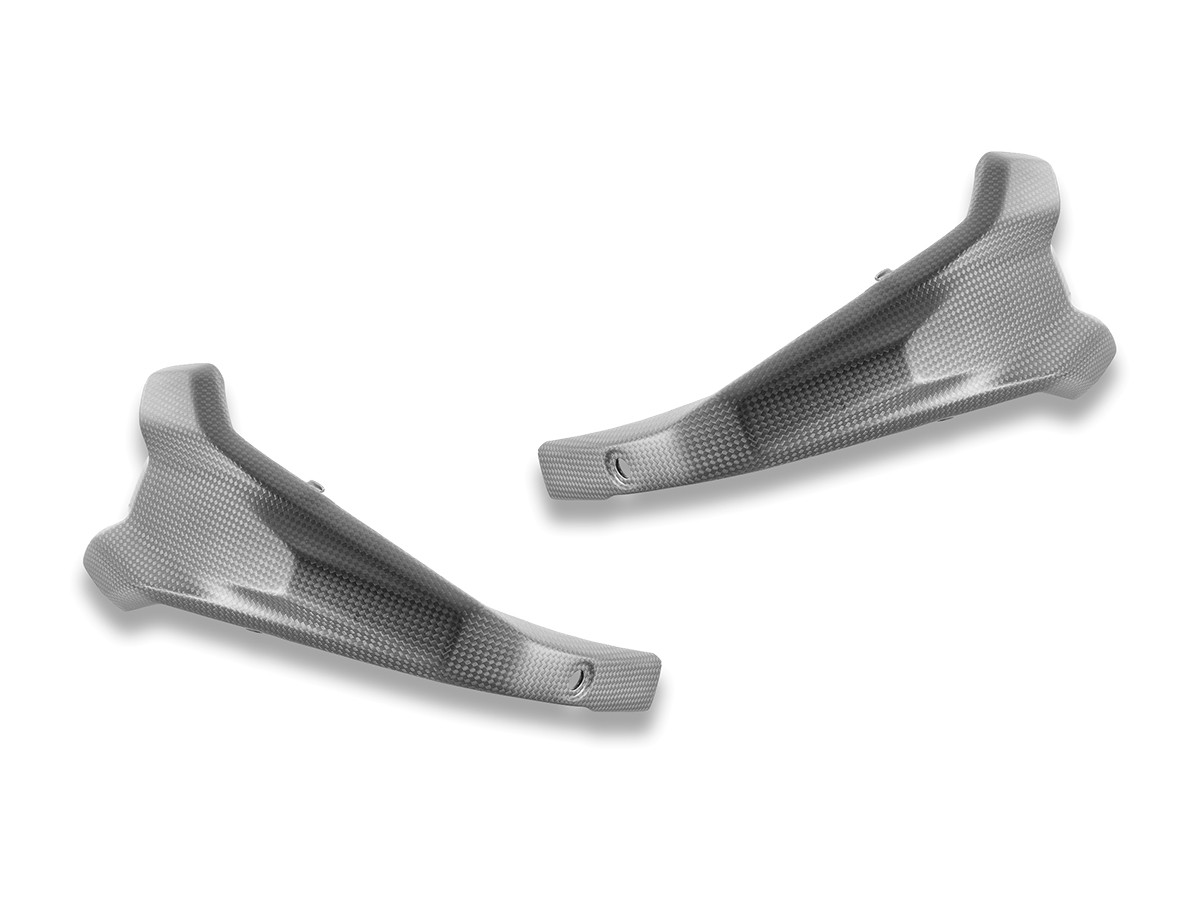 DBK Special Parts (Ducabike) Carbon Fiber Spark Plug Covers for BMW R 1300 GS DBK Special Parts (Ducabike) Carbon Fiber Spark Plug Covers for BMW R 1300 GS